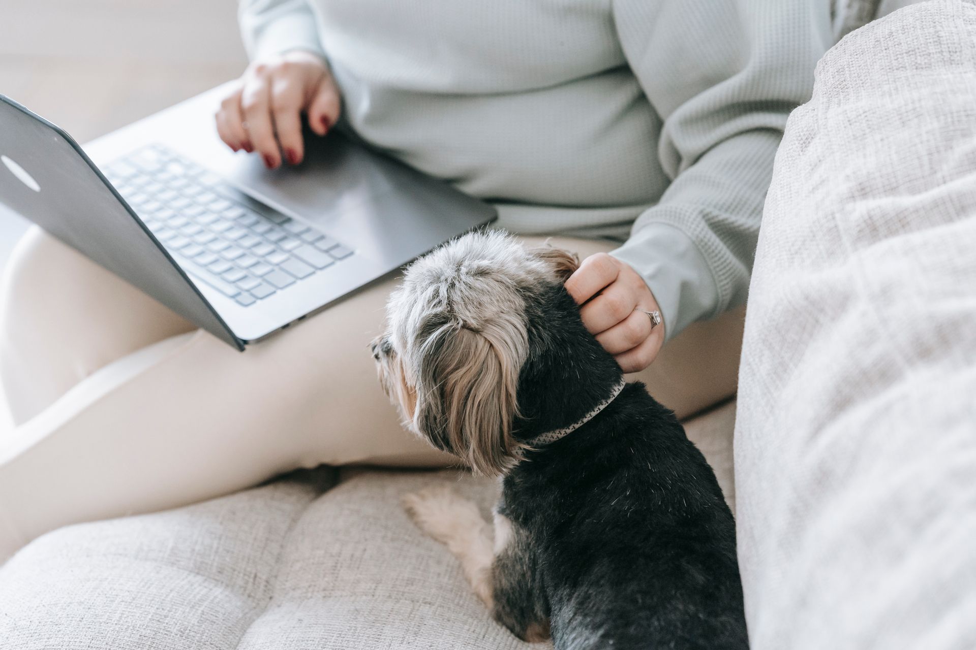 Mulher organizando a viagem no notebook enquanto faz carinho no seu cão, sentado ao lado dela no sofá